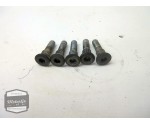 Suzuki GSX600F remschijfbouten / remschijf bouten